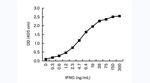 IFN gamma Antibody in ELISA (ELISA)