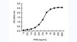 IFN gamma Antibody in ELISA (ELISA)