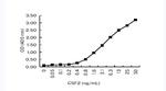 GM-CSF Antibody in ELISA (ELISA)