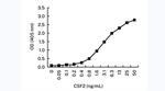 GM-CSF Antibody in ELISA (ELISA)