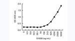 S100B Antibody in ELISA (ELISA)