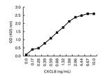 IL-8 (CXCL8) Antibody in ELISA (ELISA)