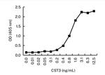 Cystatin C Antibody in ELISA (ELISA)