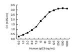 Human IgG3 Antibody in ELISA (ELISA)