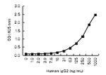 Human IgG2 Antibody in ELISA (ELISA)