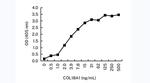 Endostatin Antibody in ELISA (ELISA)