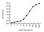 Human IgA Antibody in ELISA (ELISA)