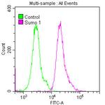 SUMO1 Antibody in Flow Cytometry (Flow)