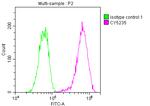 LDLR Antibody in Flow Cytometry (Flow)