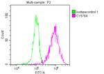 PKM2 Antibody in Flow Cytometry (Flow)