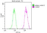 FASN Antibody in Flow Cytometry (Flow)