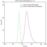 CCR8 Antibody in Flow Cytometry (Flow)