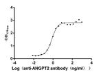 Angiopoietin 2 Antibody in ELISA (ELISA)