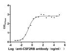 CD131 Antibody in Neutralization (Neu)