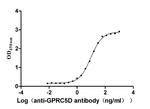 GPRC5D Antibody in Neutralization (Neu)