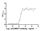 Tau Antibody in Neutralization (Neu)