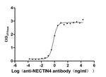 Nectin 4 Antibody in ELISA (ELISA)