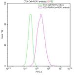 ROR1 Antibody in Flow Cytometry (Flow)