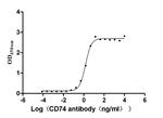 CD74 Antibody in Neutralization (Neu)