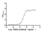 Desmoglein 3 Antibody in Neutralization (Neu)