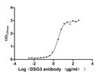 Desmoglein 3 Antibody in Neutralization (Neu)