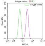 CD39 Antibody in Flow Cytometry (Flow)