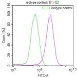 E2F4 Antibody in Flow Cytometry (Flow)