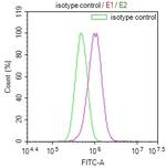 RAB27A Antibody in Flow Cytometry (Flow)