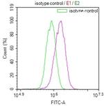 HDJ2 Antibody in Flow Cytometry (Flow)