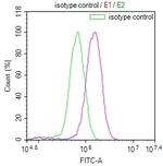 LRP2 Antibody in Flow Cytometry (Flow)