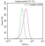 NUDT5 Antibody in Flow Cytometry (Flow)