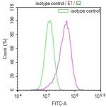 ISG15 Antibody in Flow Cytometry (Flow)