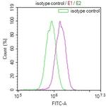 TBK1 Antibody in Flow Cytometry (Flow)