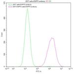 CD203c Antibody in Flow Cytometry (Flow)