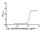 Glypican 3 Antibody in Neutralization (Neu)