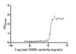 MCK10 Antibody in Neutralization (Neu)