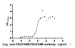 CEACAM5/CEACAM6 Antibody in Neutralization (Neu)