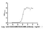 CEACAM5/CEACAM6 Antibody in Neutralization (Neu)