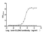 Claudin 3 Antibody in ELISA (ELISA)