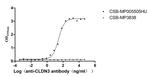 Claudin 3 Antibody in Neutralization (Neu)