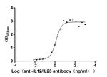 IL-12/IL-23 p40 Antibody in Neutralization (Neu)