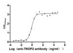 TROP2 Antibody in Neutralization (Neu)
