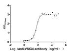 VSIG4 Antibody in Neutralization (Neu)