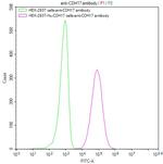 CDH17 Antibody in Flow Cytometry (Flow)