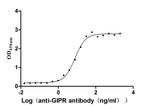 GIPR Antibody in Neutralization (Neu)