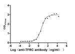 Transferrin Receptor Antibody in Neutralization (Neu)