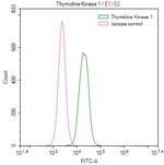 TK1 Antibody in Flow Cytometry (Flow)