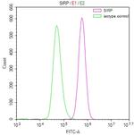 SIRP alpha Antibody in Flow Cytometry (Flow)