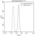 alpha Galactosidase Antibody in Flow Cytometry (Flow)