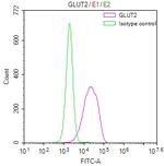 GLUT2 Antibody in Flow Cytometry (Flow)